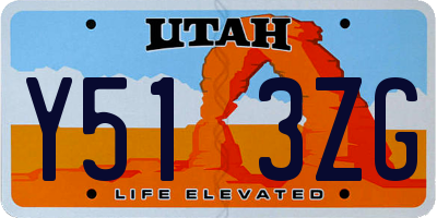 UT license plate Y513ZG