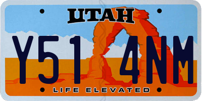 UT license plate Y514NM