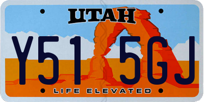 UT license plate Y515GJ