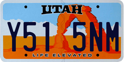UT license plate Y515NM