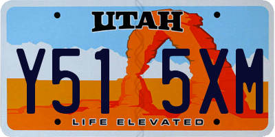 UT license plate Y515XM