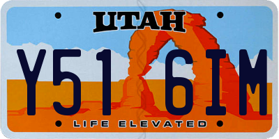 UT license plate Y516IM