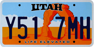 UT license plate Y517MH