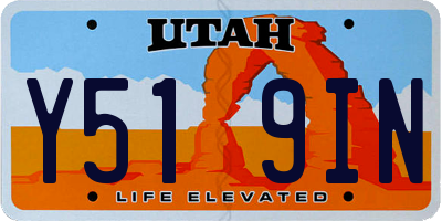 UT license plate Y519IN