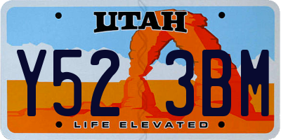 UT license plate Y523BM