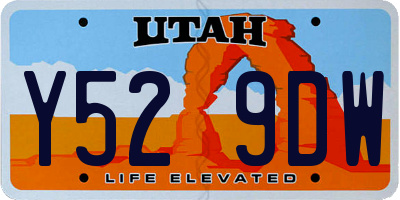 UT license plate Y529DW