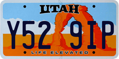 UT license plate Y529IP