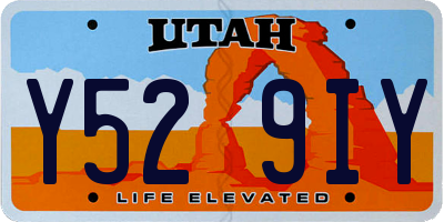 UT license plate Y529IY
