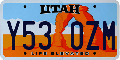 UT license plate Y530ZM