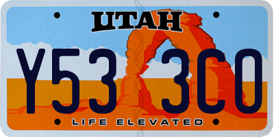 UT license plate Y533CO