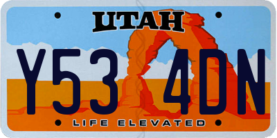 UT license plate Y534DN