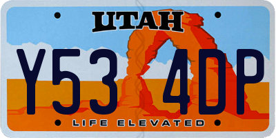 UT license plate Y534DP