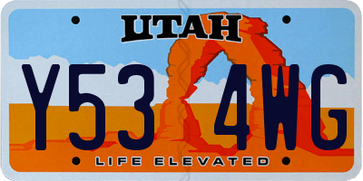 UT license plate Y534WG