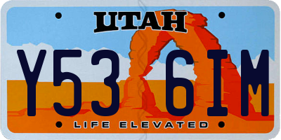 UT license plate Y536IM