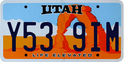 UT license plate Y539IM