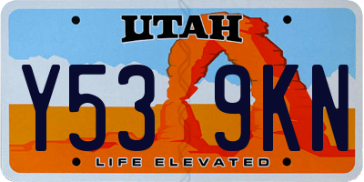 UT license plate Y539KN