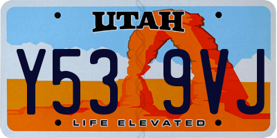 UT license plate Y539VJ