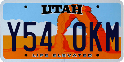 UT license plate Y540KM