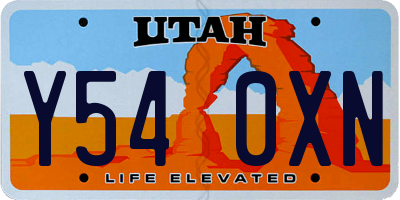 UT license plate Y540XN