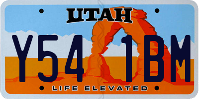 UT license plate Y541BM