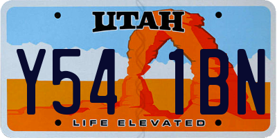 UT license plate Y541BN