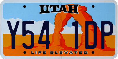 UT license plate Y541DP