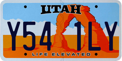 UT license plate Y541LY