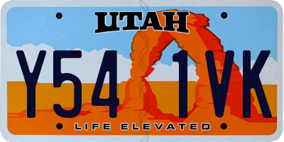 UT license plate Y541VK