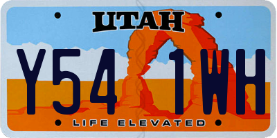 UT license plate Y541WH
