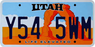 UT license plate Y545WM