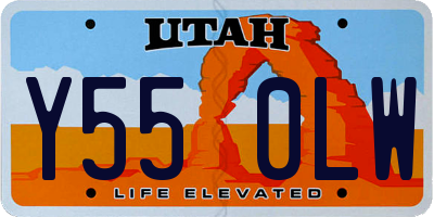 UT license plate Y550LW