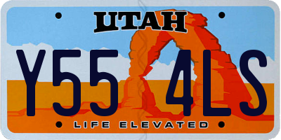 UT license plate Y554LS