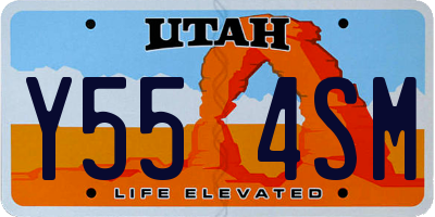 UT license plate Y554SM
