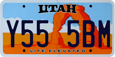 UT license plate Y555BM