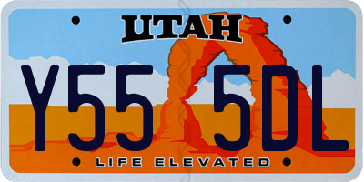 UT license plate Y555DL