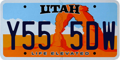 UT license plate Y555DW