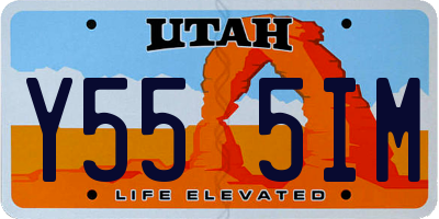 UT license plate Y555IM