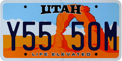 UT license plate Y555OM