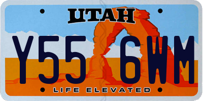 UT license plate Y556WM