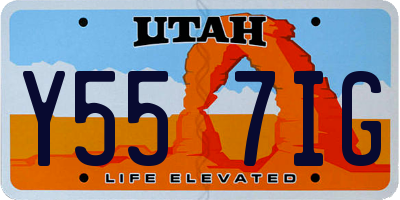 UT license plate Y557IG