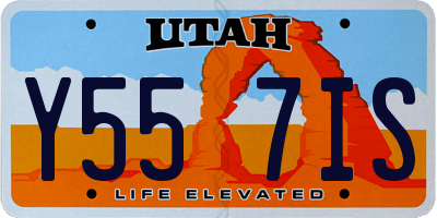 UT license plate Y557IS