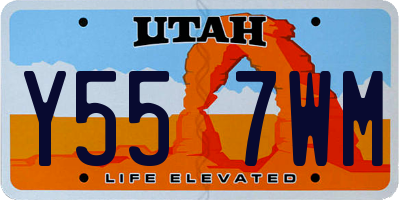 UT license plate Y557WM