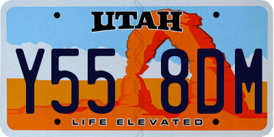 UT license plate Y558DM