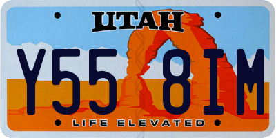 UT license plate Y558IM