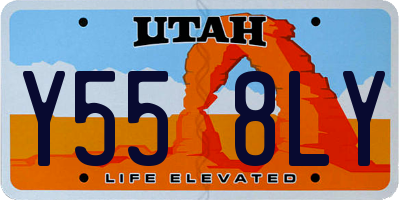 UT license plate Y558LY