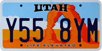 UT license plate Y558YM