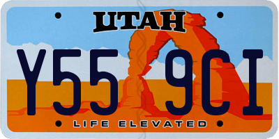 UT license plate Y559CI
