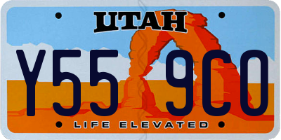 UT license plate Y559CO