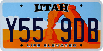 UT license plate Y559DB