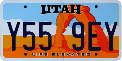 UT license plate Y559EY